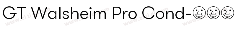 GT Walsheim Pro Cond字体转换